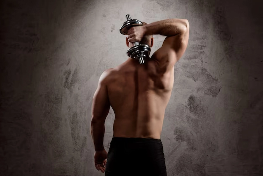 Back workout for mass and strength exercises