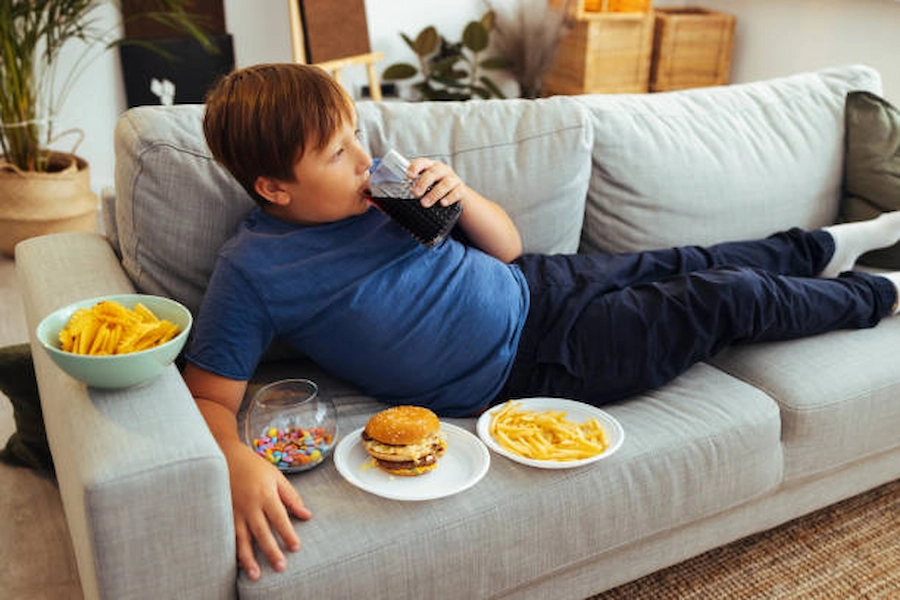 Healthy lifestyle support for obese kids.